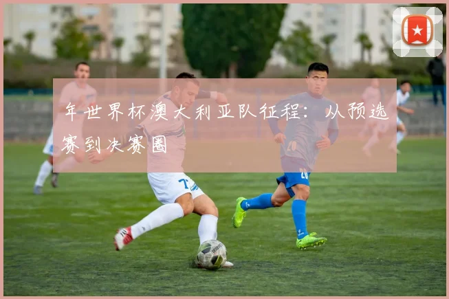 年世界杯澳大利亚队征程:从预选赛到决赛圈